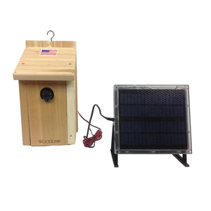 Self Recording Solar Powered Night Vision Birdhouse Camera with backup battery 1080P DVR